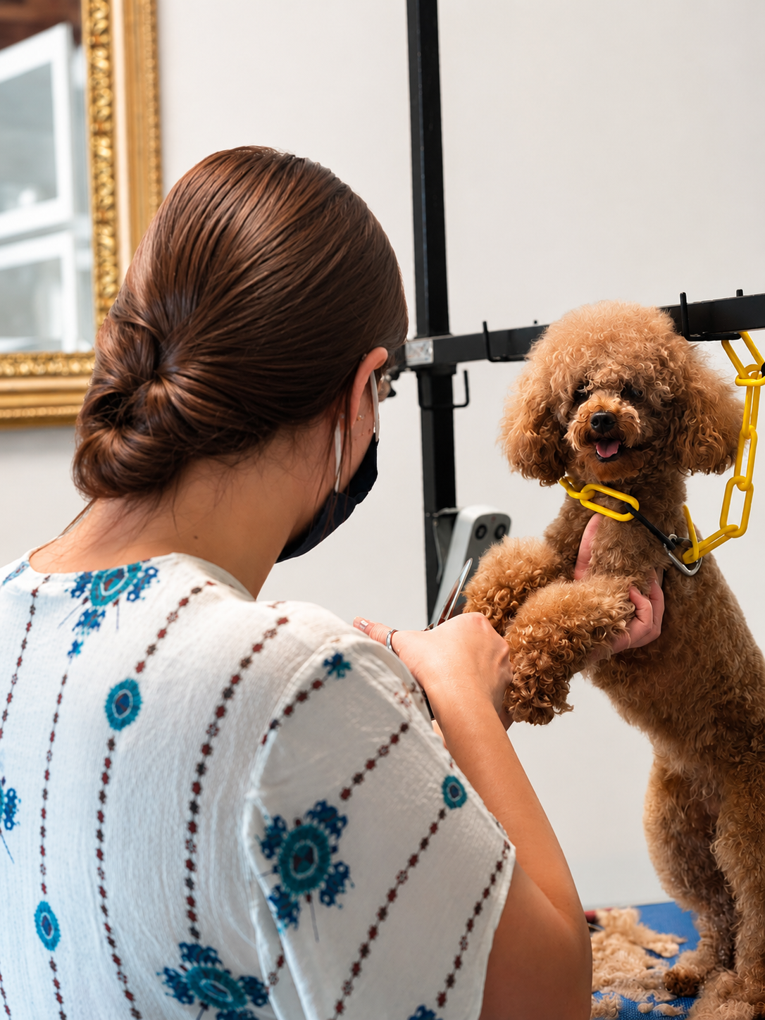 Professionelle Hundepflege bei Baski Grooming Studio